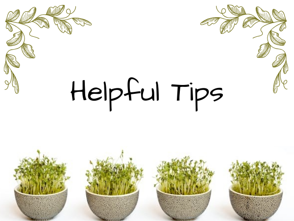 4 herb plants on a white background with the words Helpful Tips