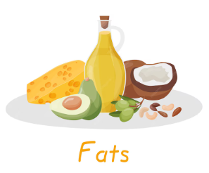 image of foods that are considered healthy fats
