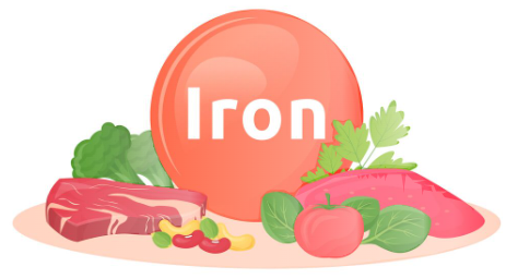 red circle with the word iron along with images of foods rich in iron