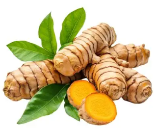 image of raw turmeric